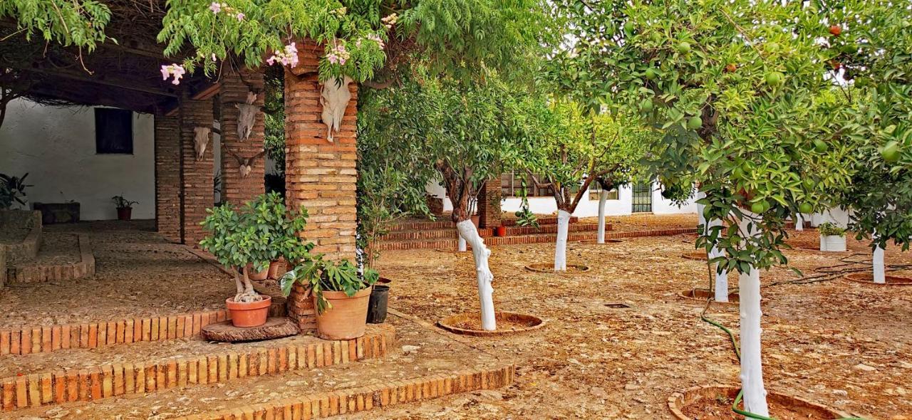 La Fuensanta Villa Hornachuelos Exterior photo