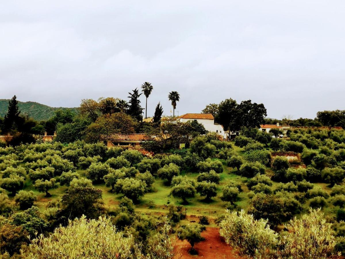 La Fuensanta Villa Hornachuelos Exterior photo